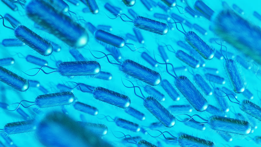 Microbiota intestinale (downloaded from Freepik - www.freepik.com)